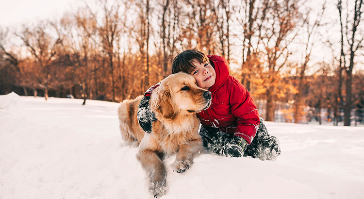 4 Reasons to Buy this Winter!