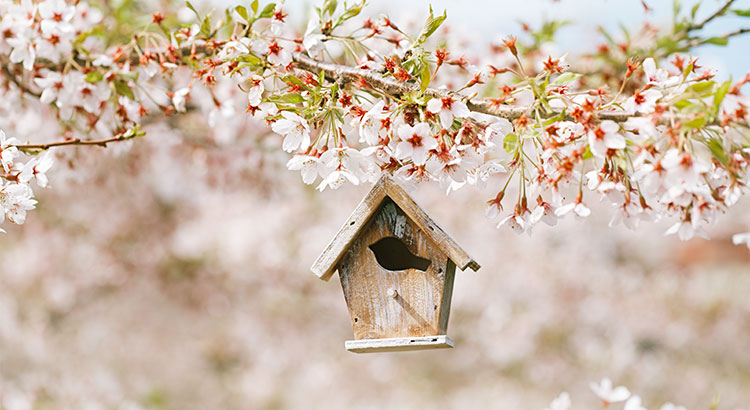 Data Says April is the Best Month to List Your Home for Sale